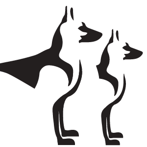 PACS LLC Logo